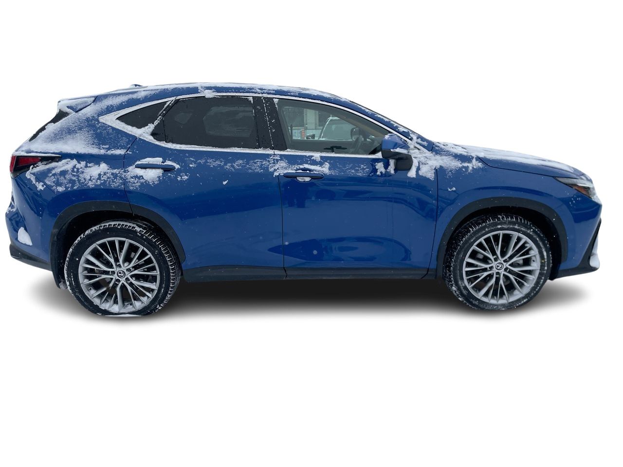 2024 Lexus NX