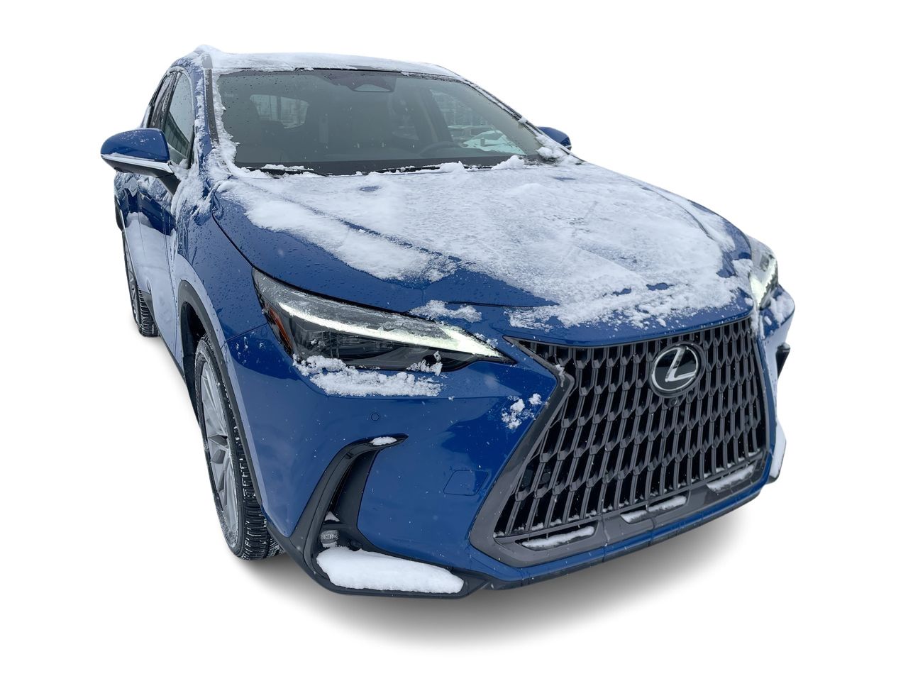 2024 Lexus NX
