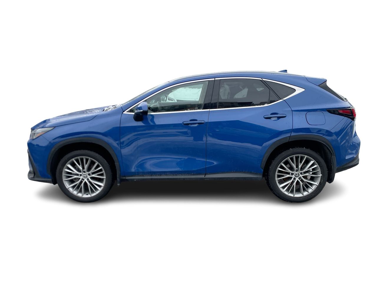 Lexus NX  2024