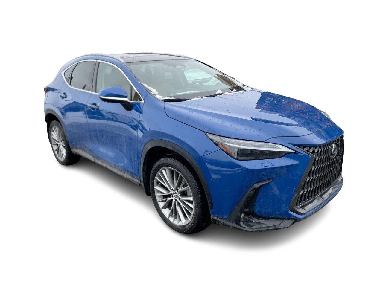 Lexus NX  2024