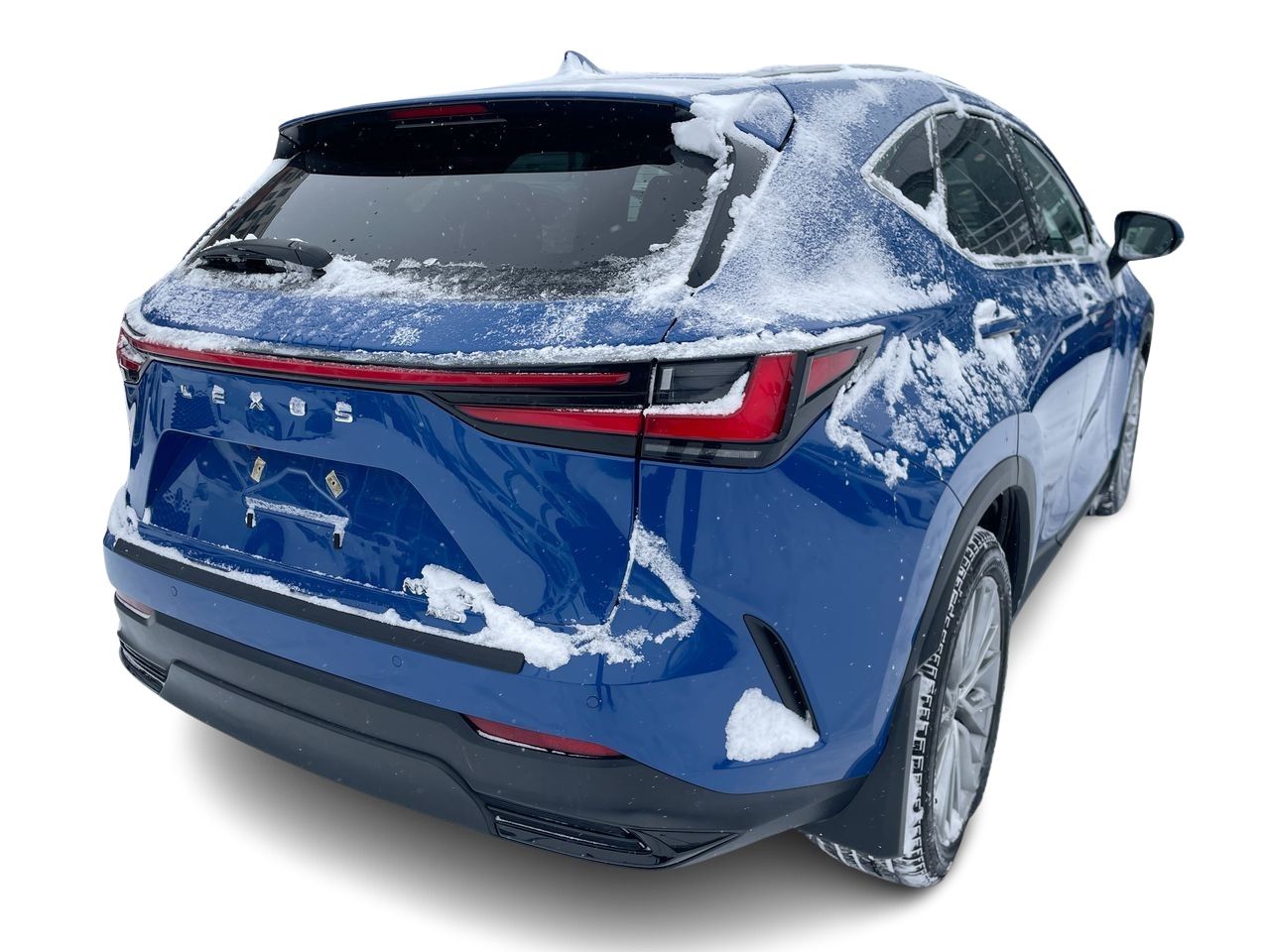 2024 Lexus NX