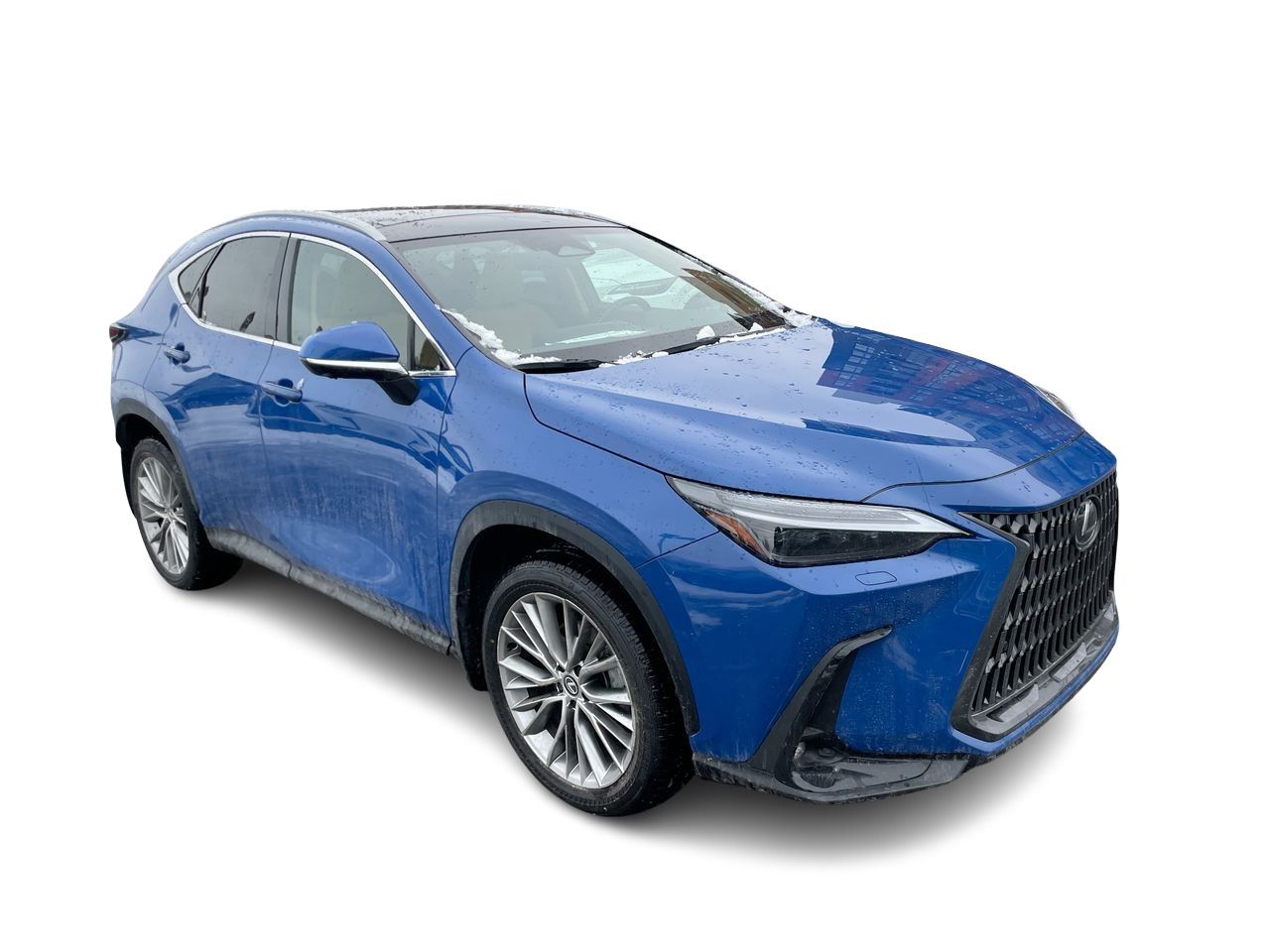 Lexus NX  2024