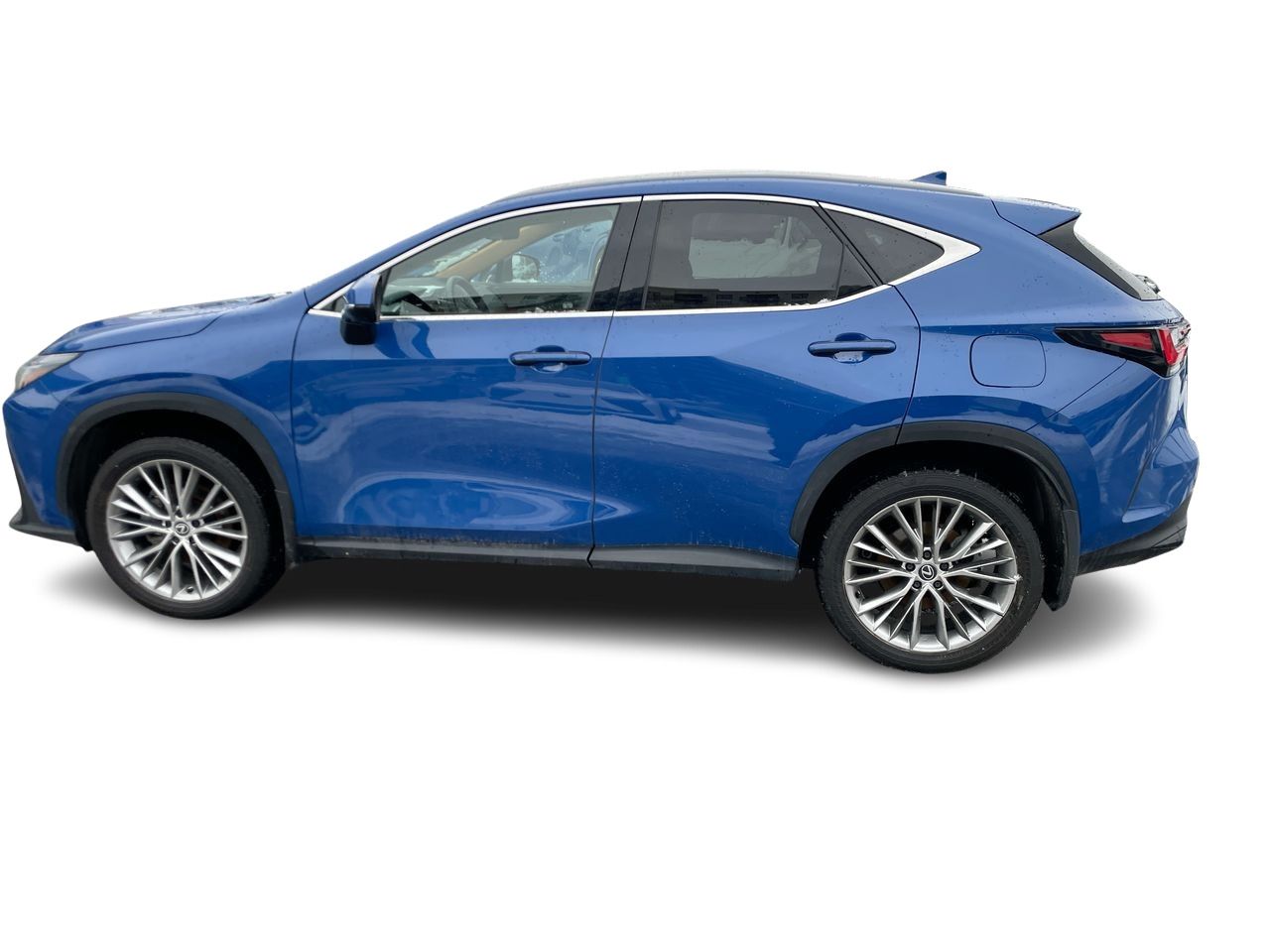 Lexus NX  2024