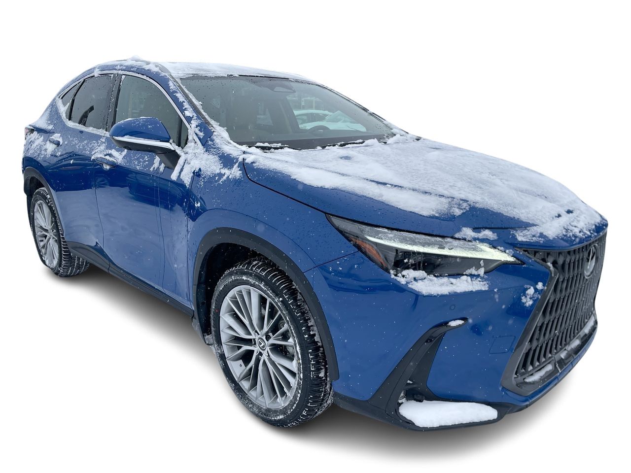 2024 Lexus NX