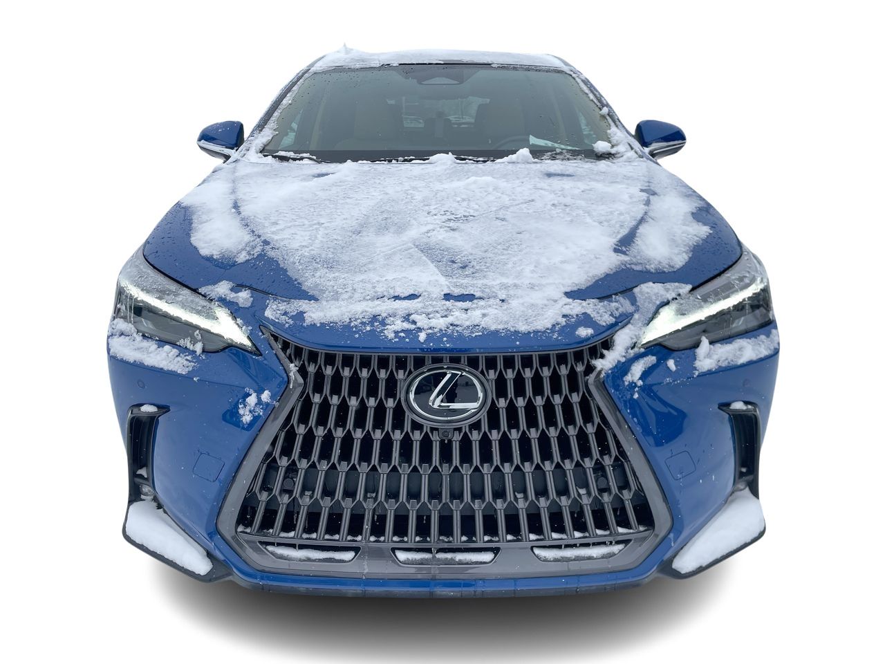 2024 Lexus NX