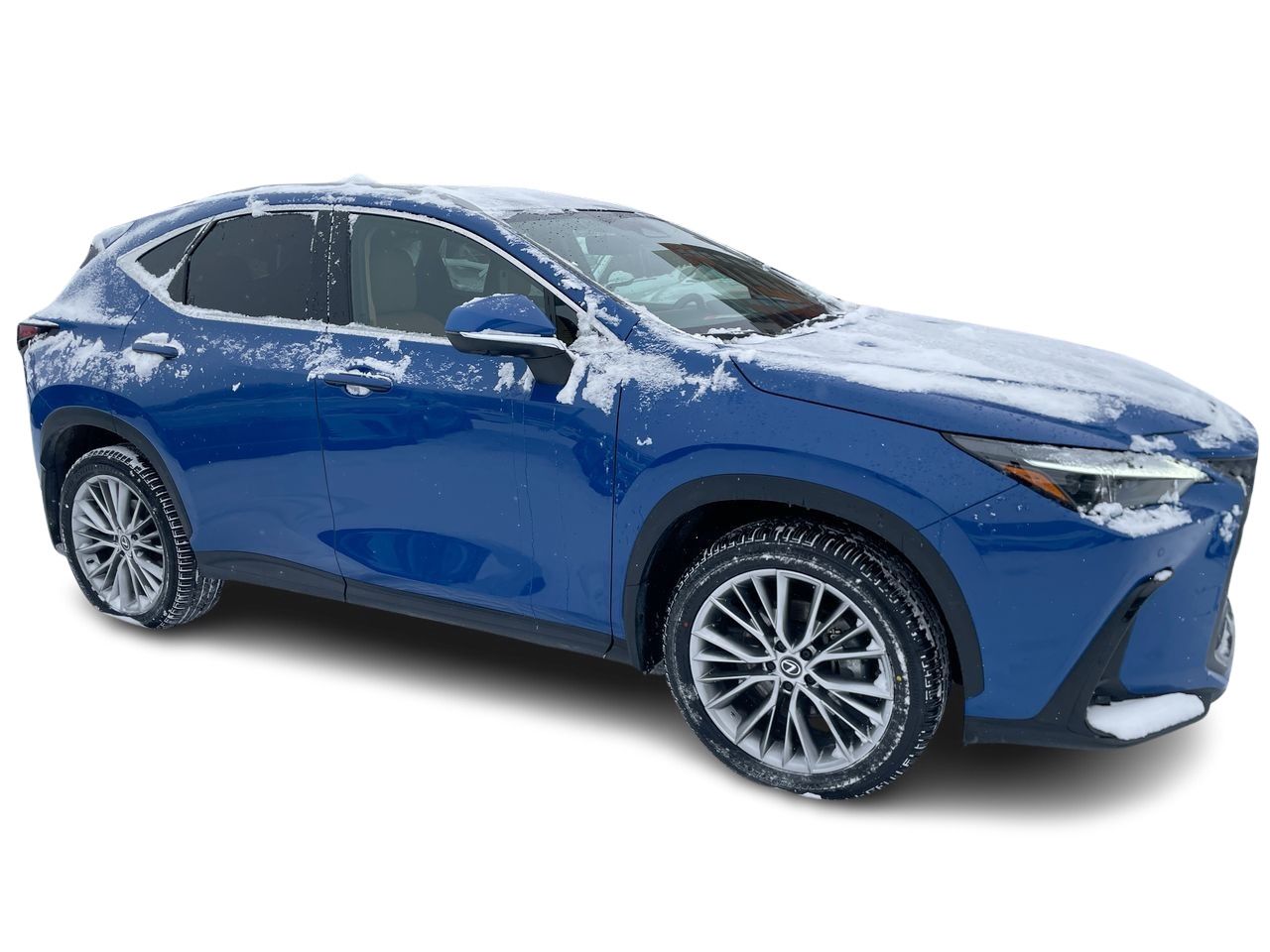 2024 Lexus NX