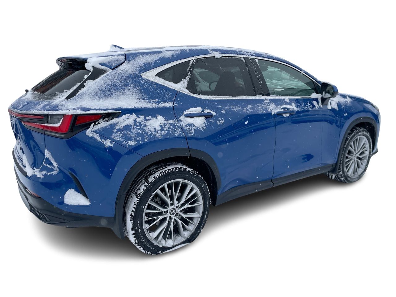 2024 Lexus NX