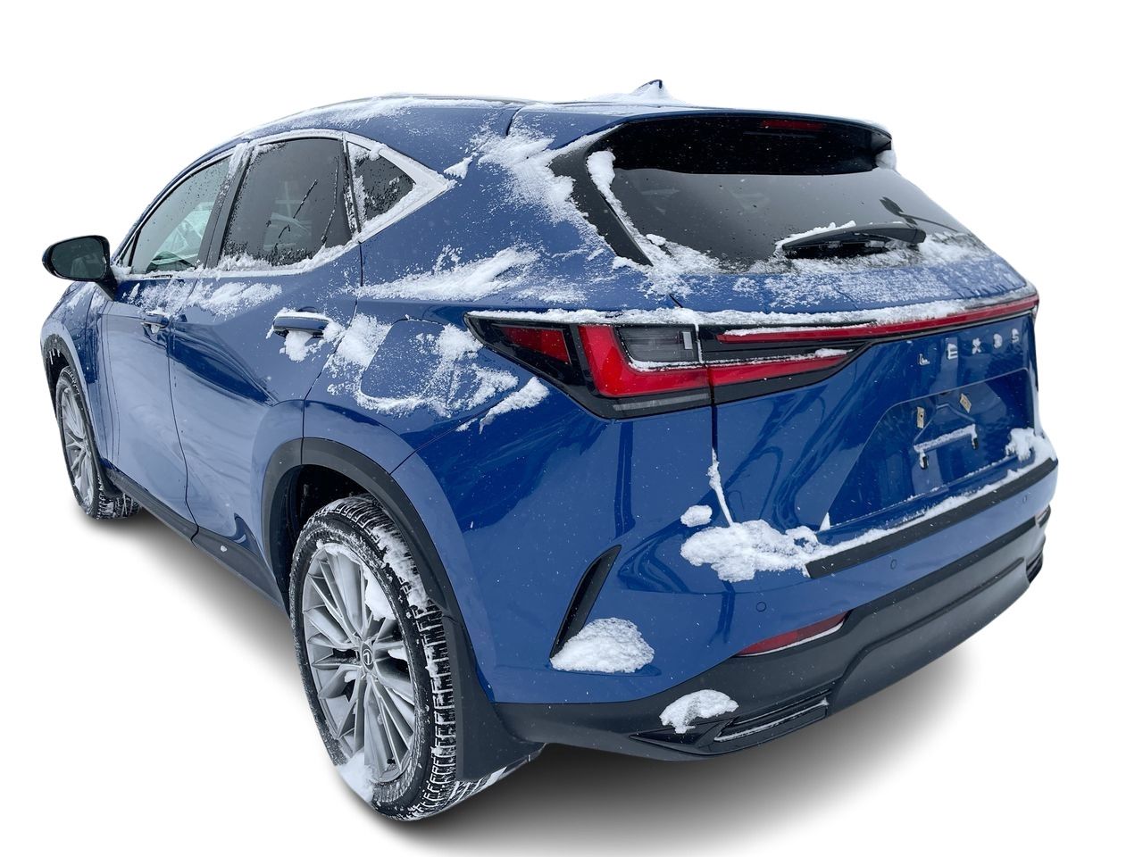 2024 Lexus NX