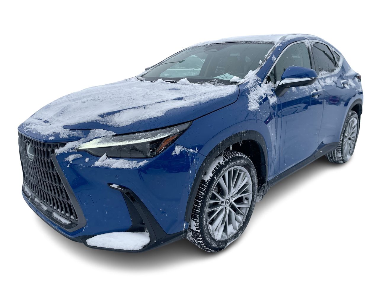 2024 Lexus NX