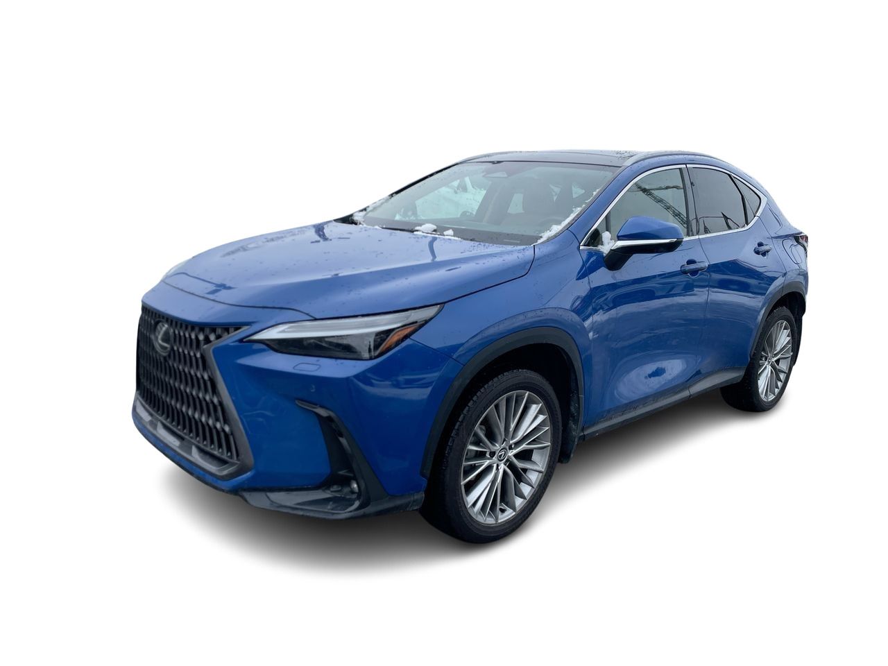 Lexus NX  2024