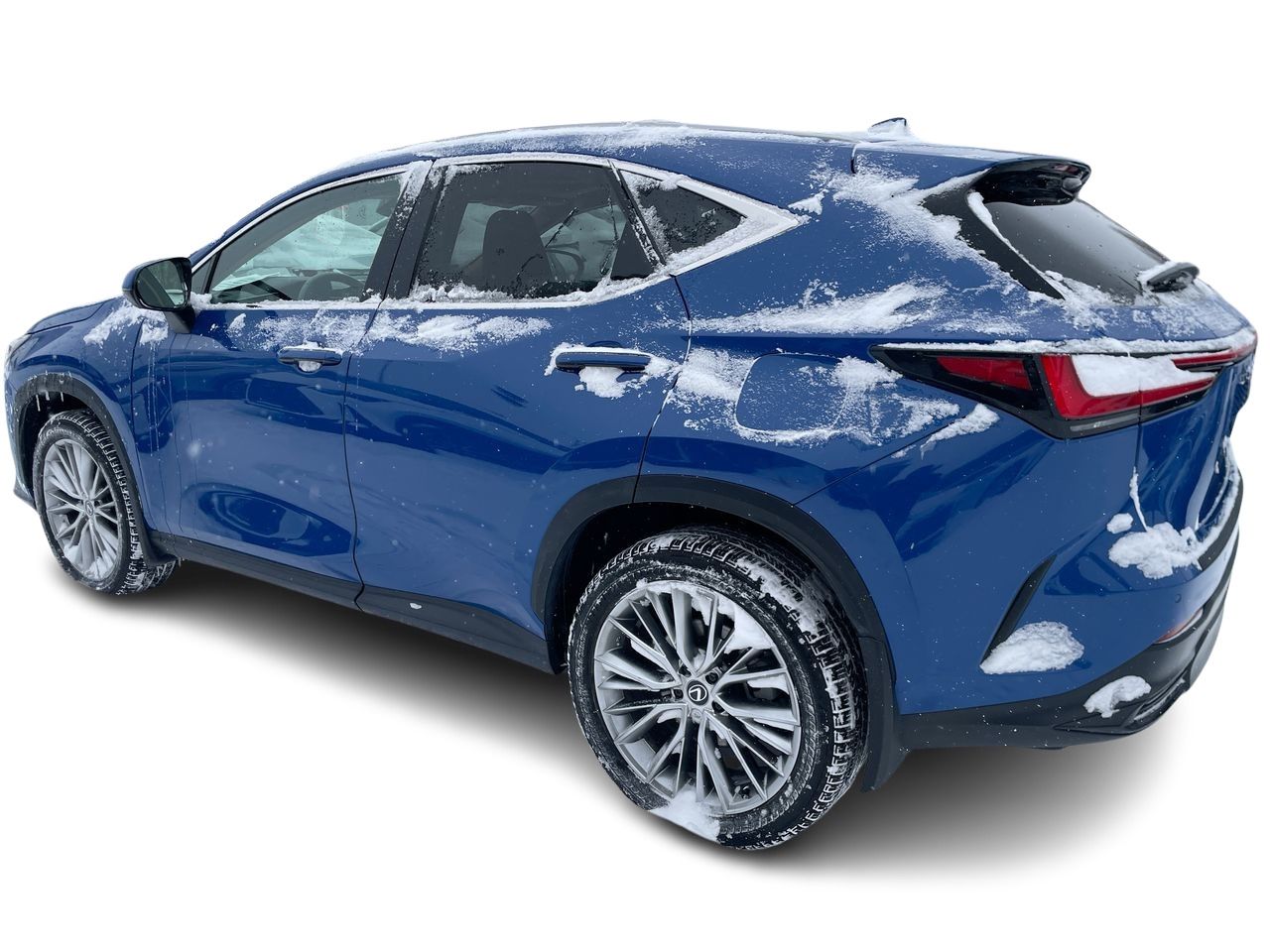 2024 Lexus NX
