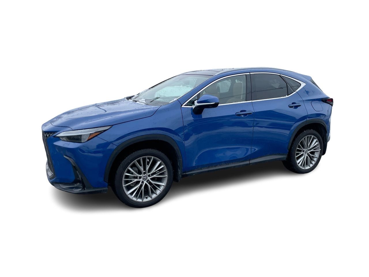 Lexus NX  2024