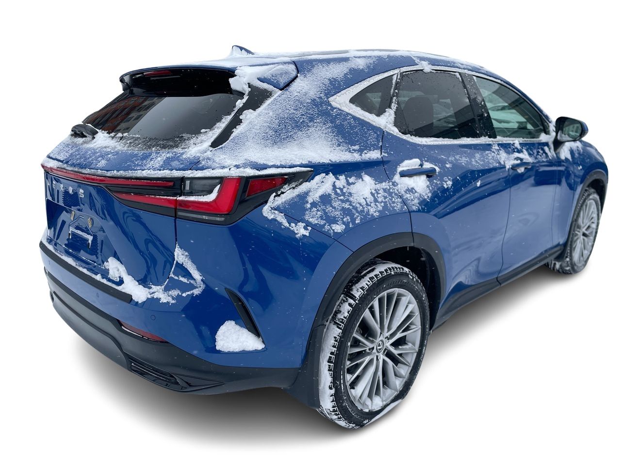 2024 Lexus NX
