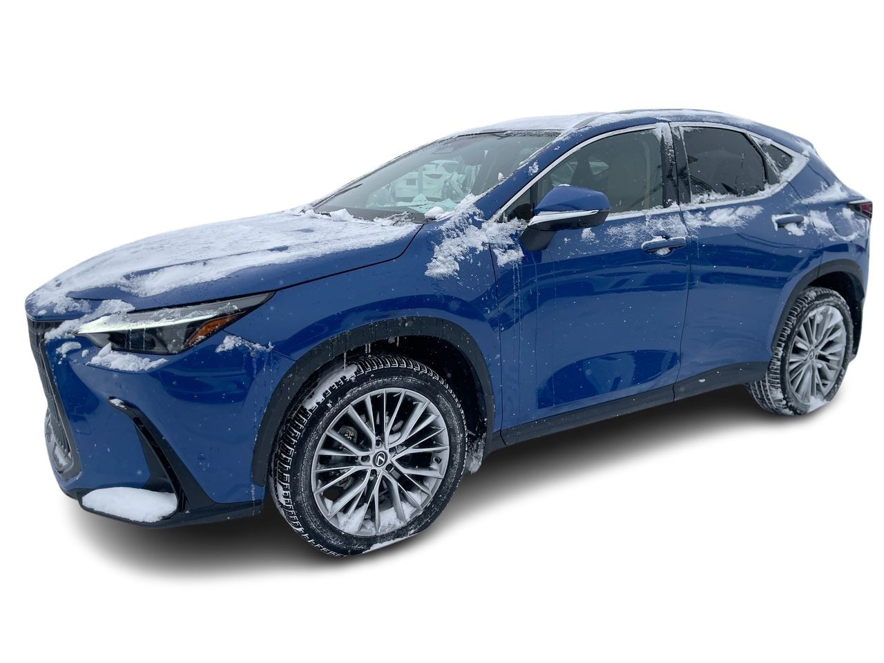 2024 Lexus NX