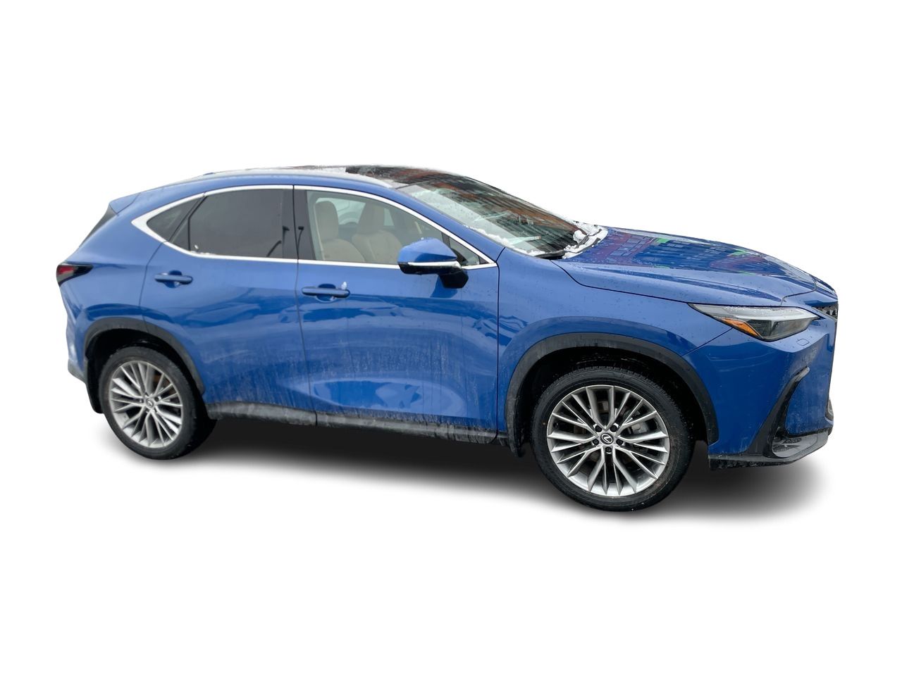 Lexus NX  2024