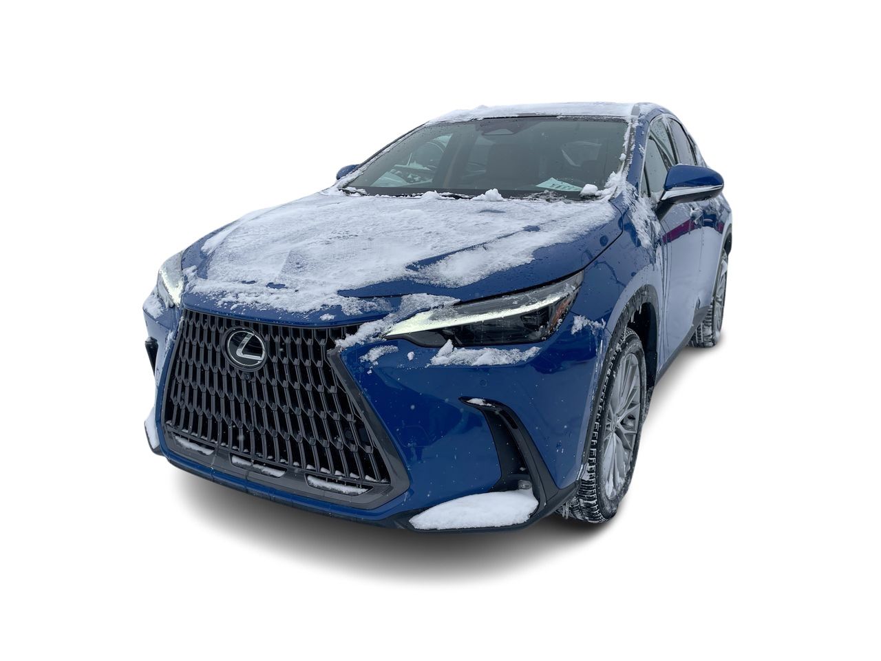 2024 Lexus NX