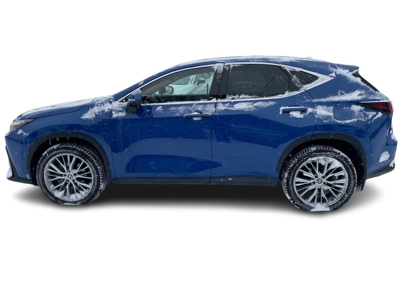 2024 Lexus NX