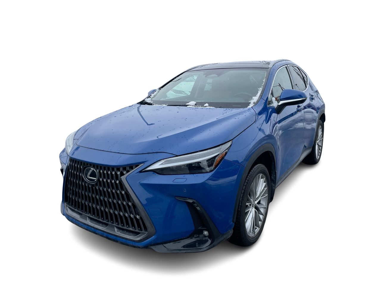Lexus NX  2024