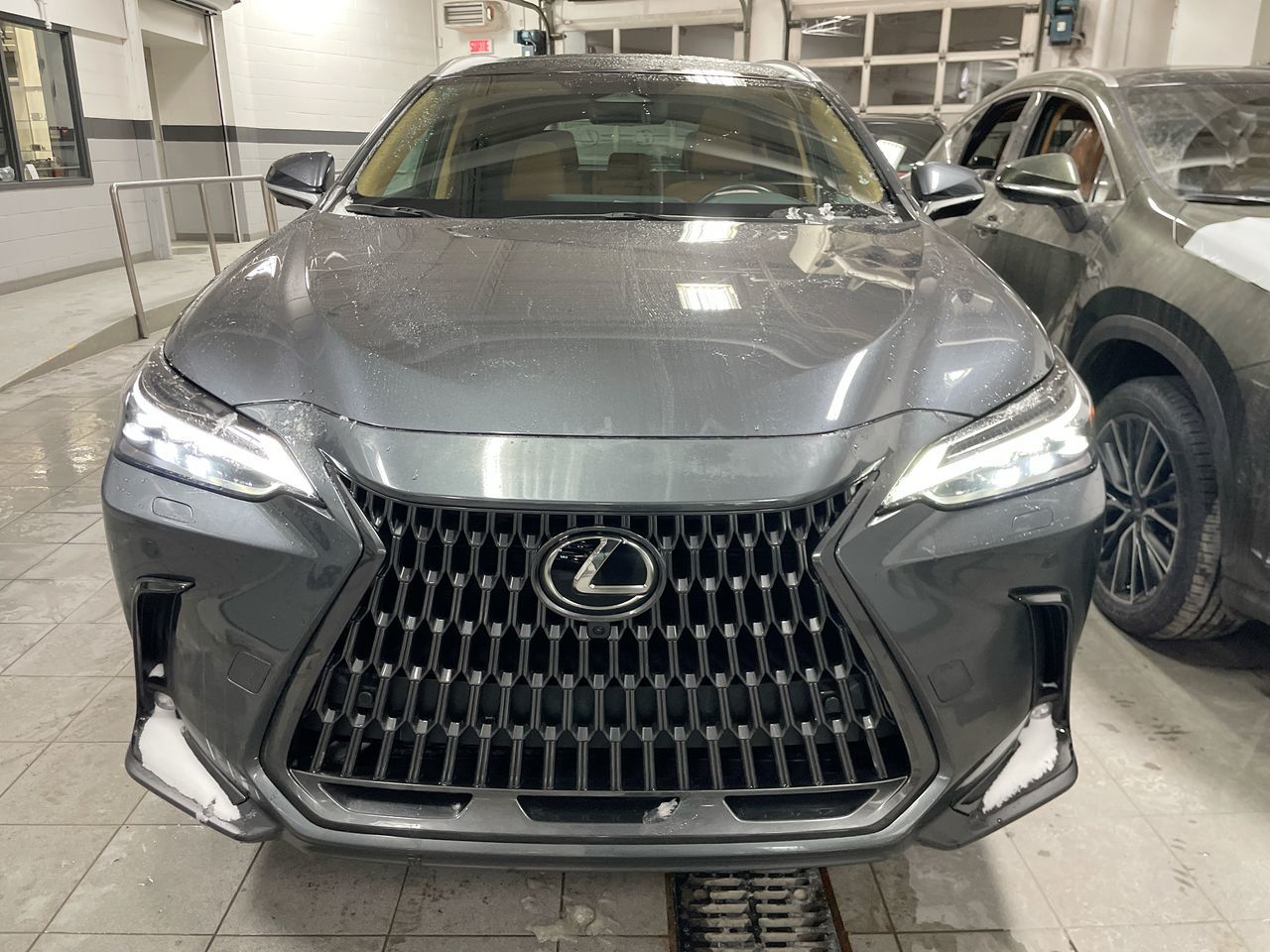2024 Lexus NX
