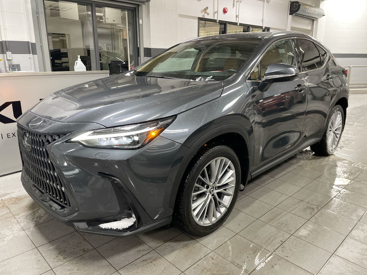2024 Lexus NX