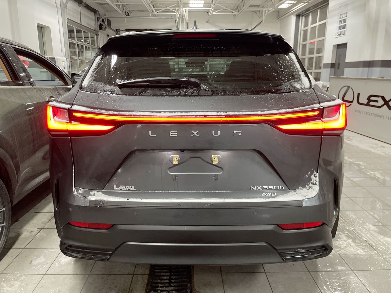 2024 Lexus NX