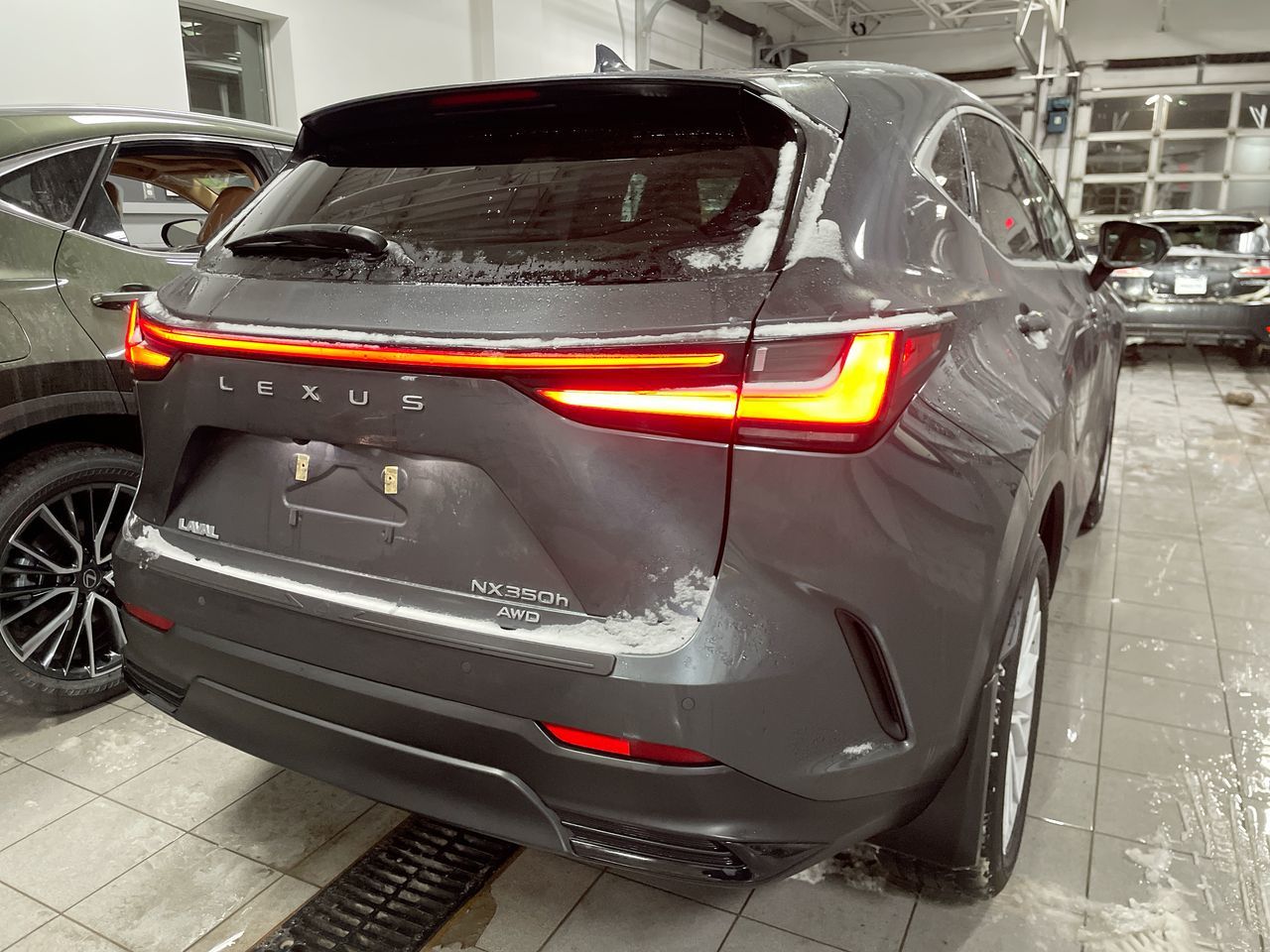 2024 Lexus NX