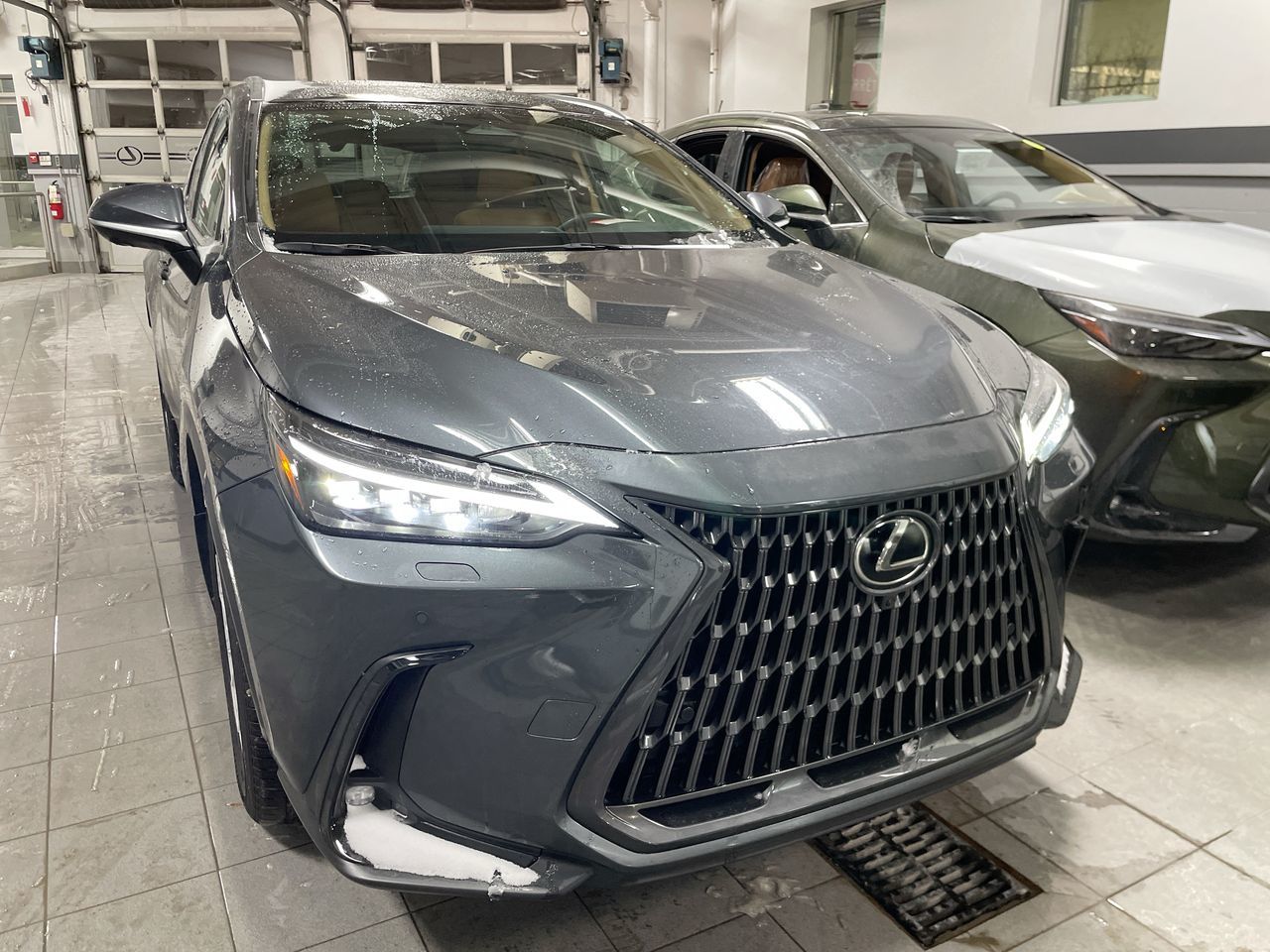 2024 Lexus NX