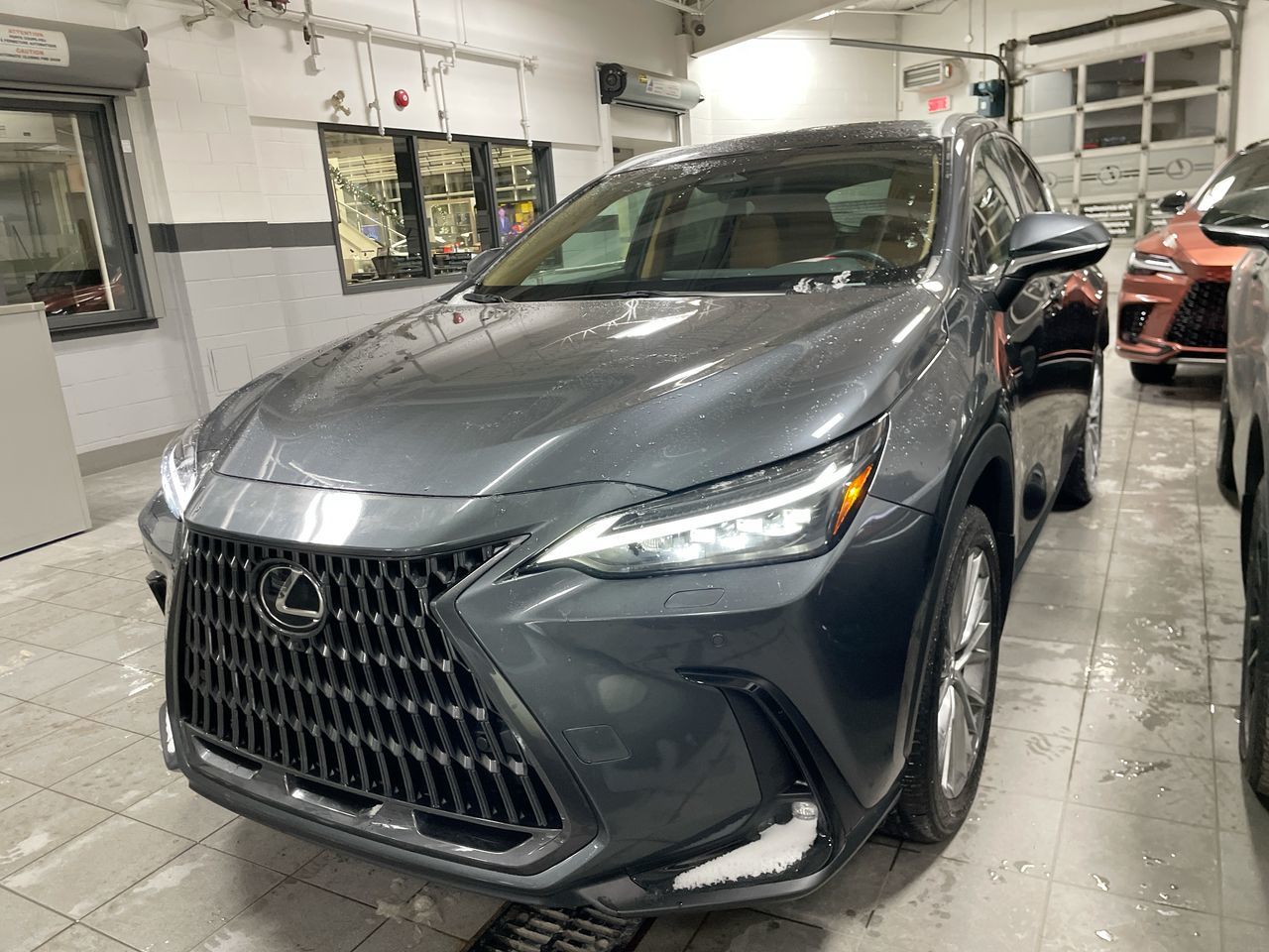 2024 Lexus NX