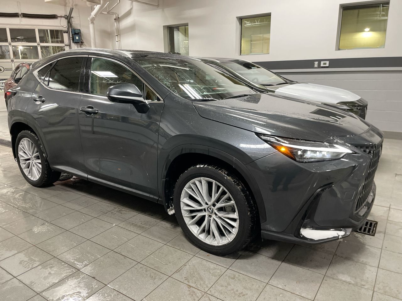 2024 Lexus NX