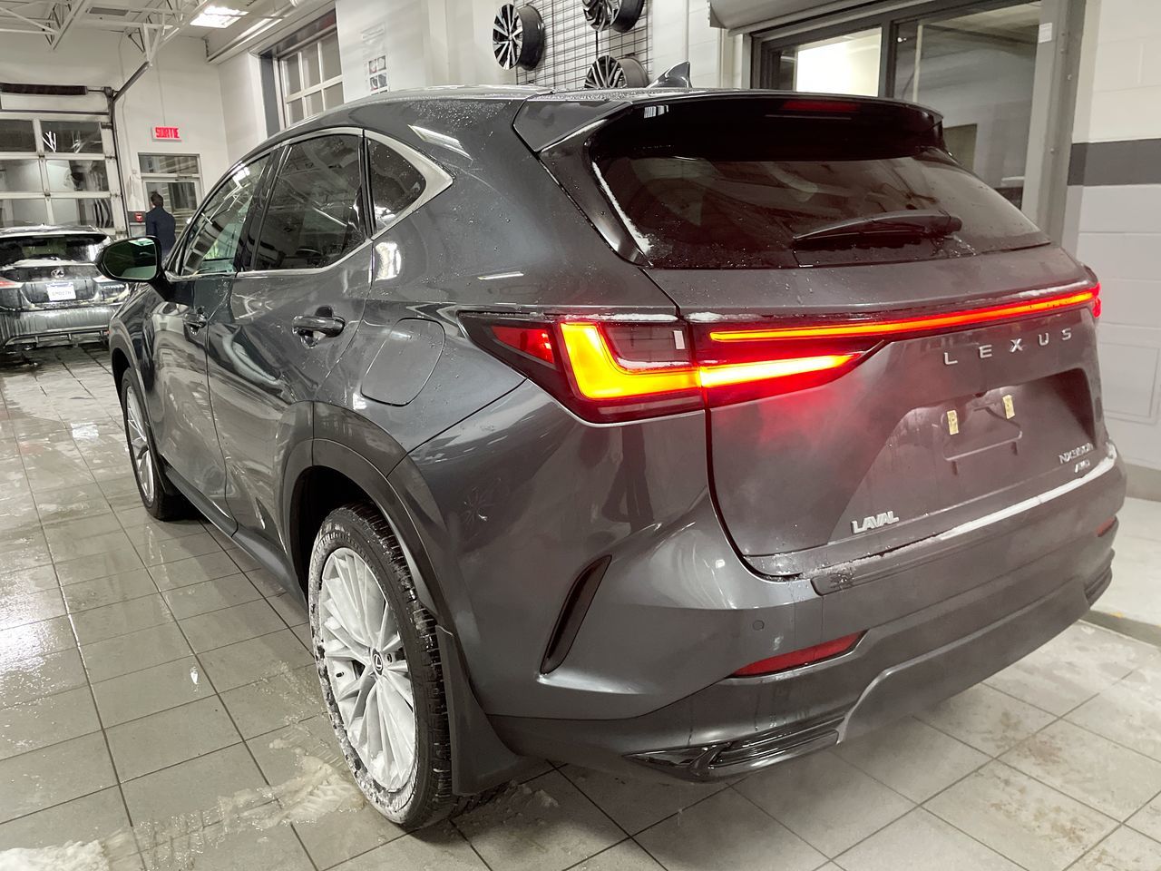 2024 Lexus NX