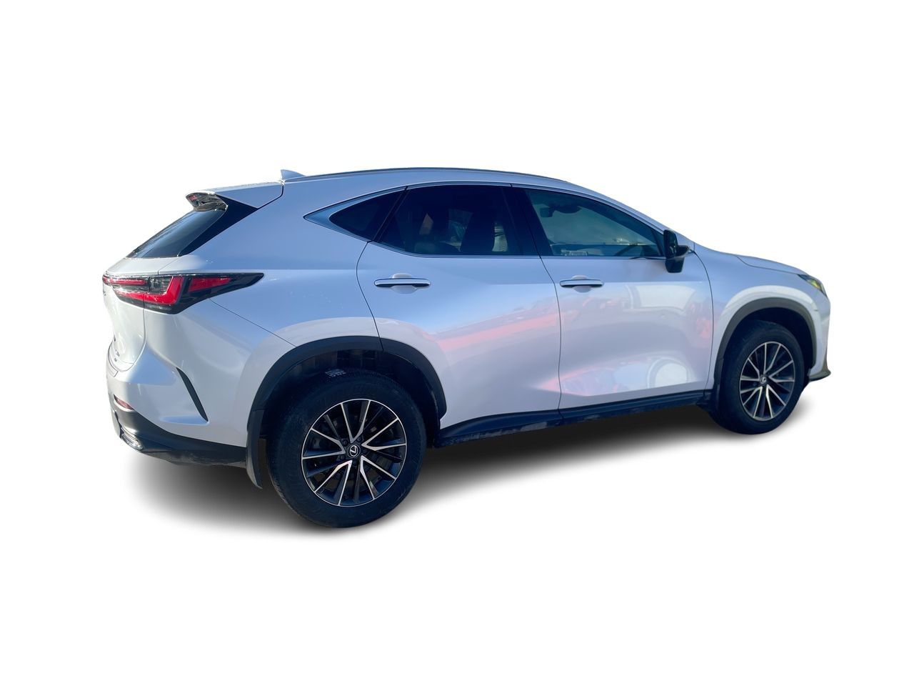 2024 Lexus NX