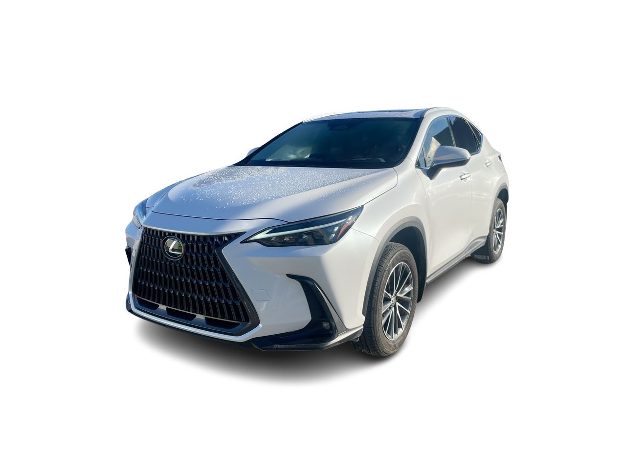 2024 Lexus NX
