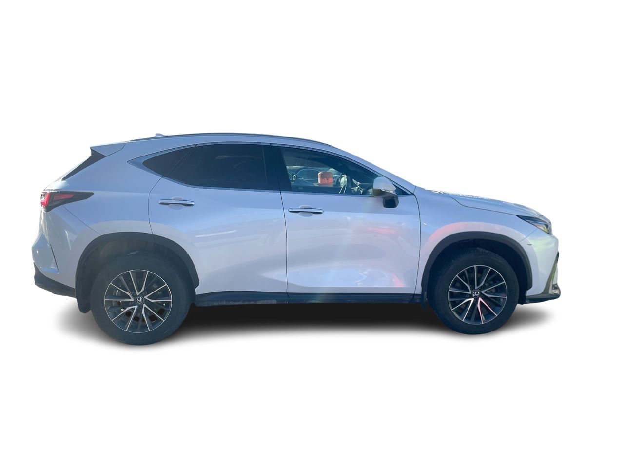 2024 Lexus NX