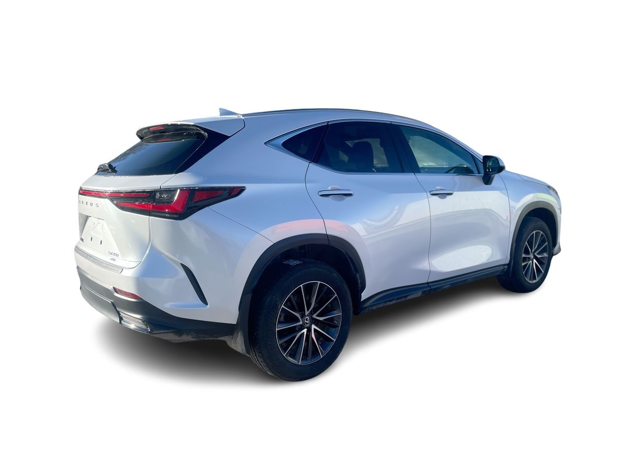 2024 Lexus NX