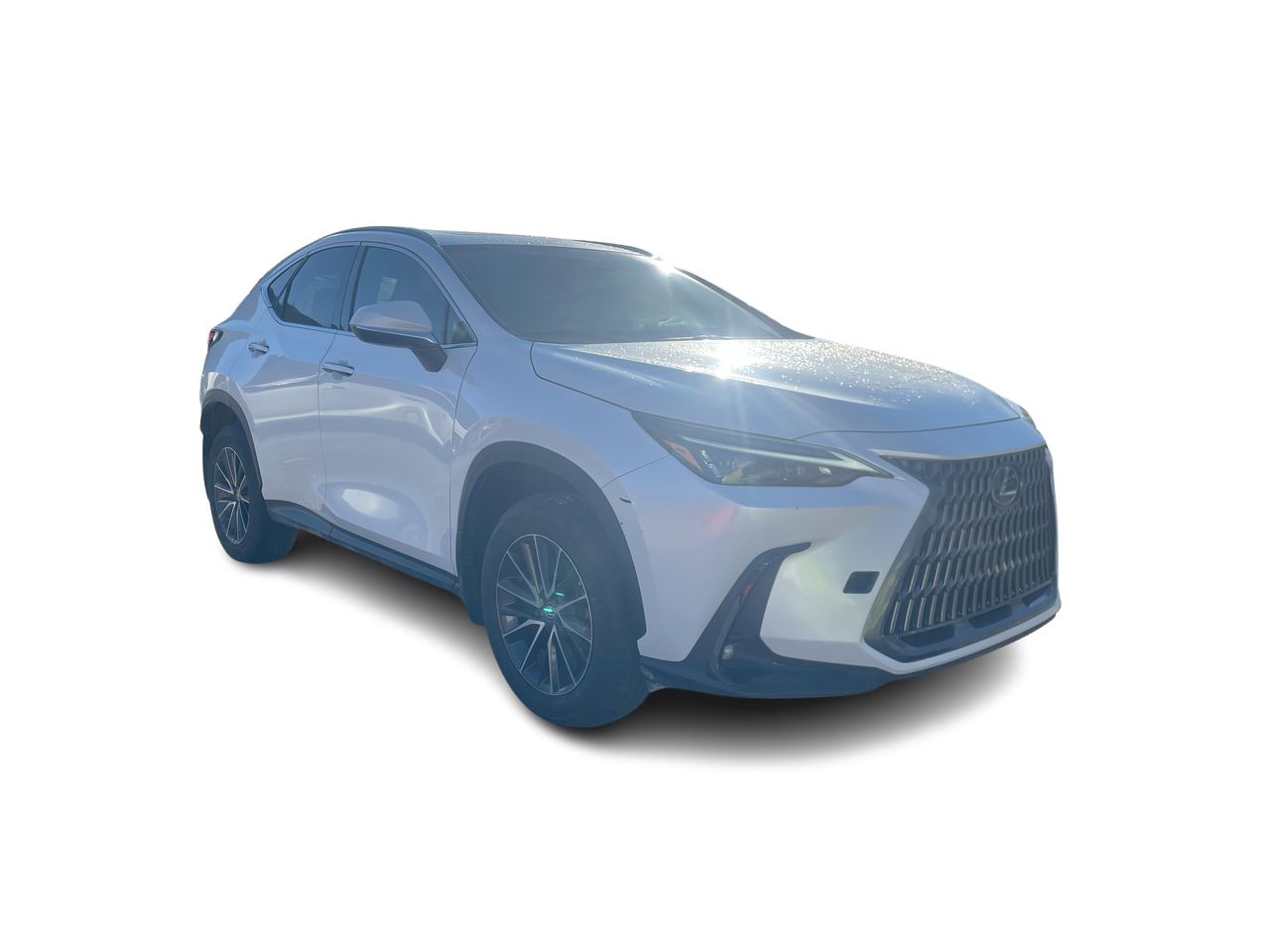 2024 Lexus NX