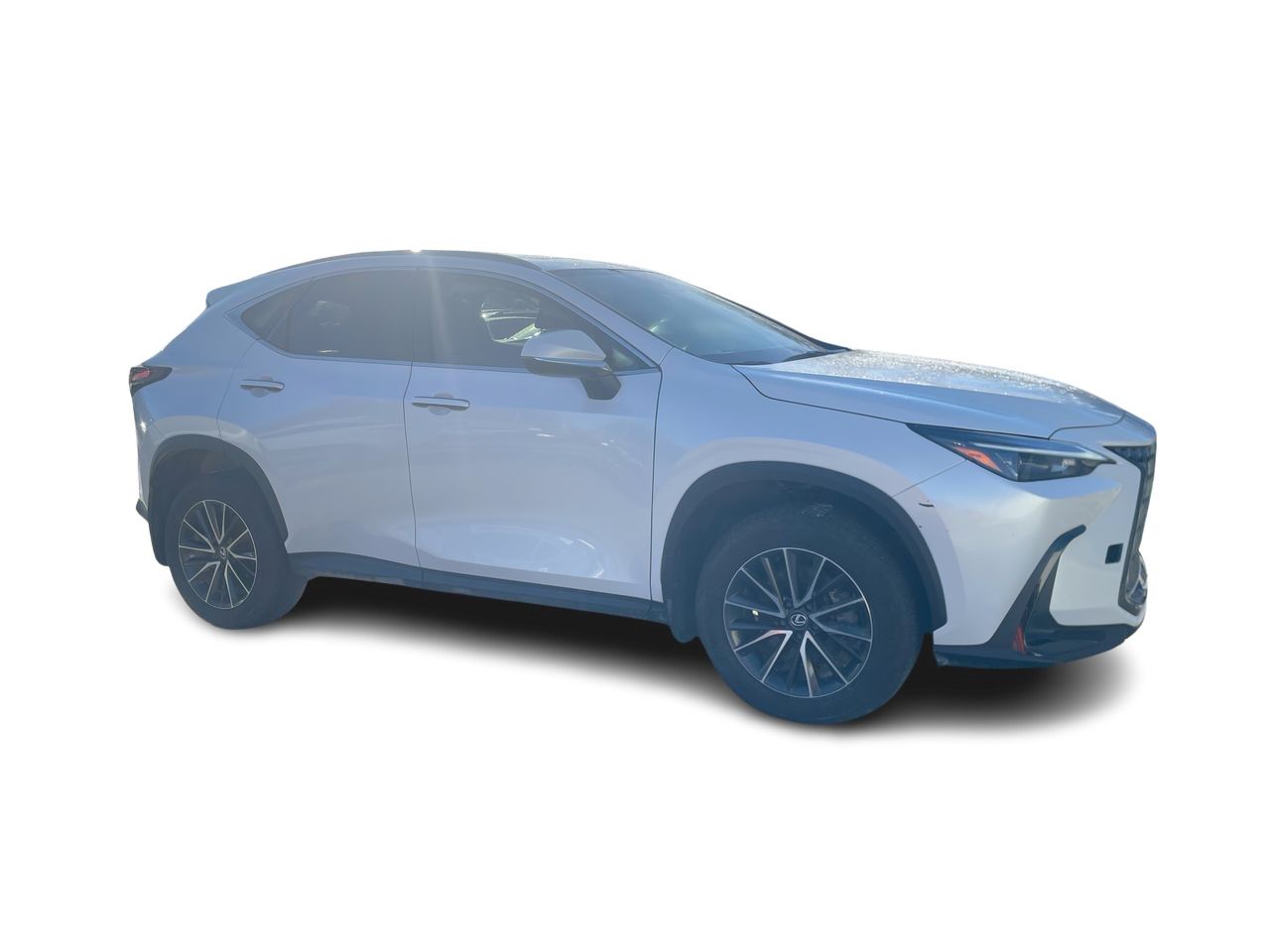2024 Lexus NX