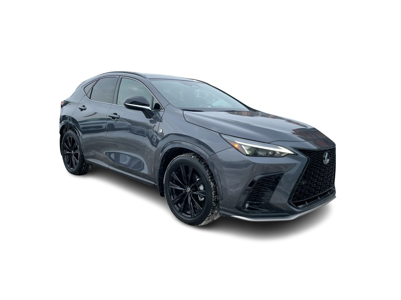2024 Lexus NX