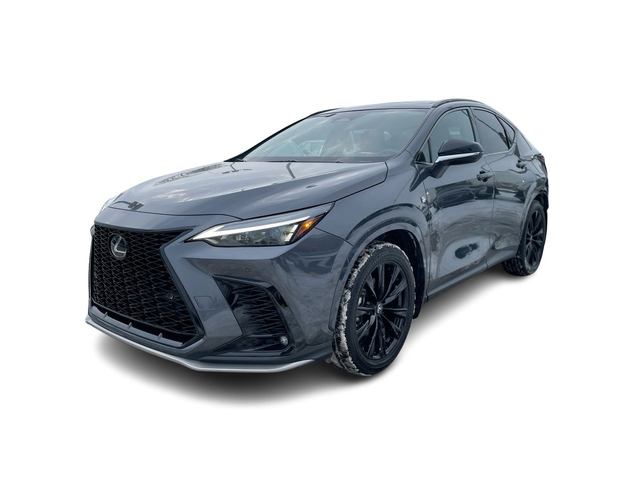 2024 Lexus NX