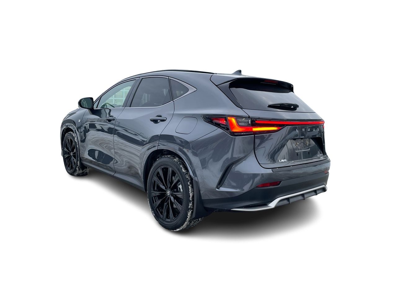 2024 Lexus NX