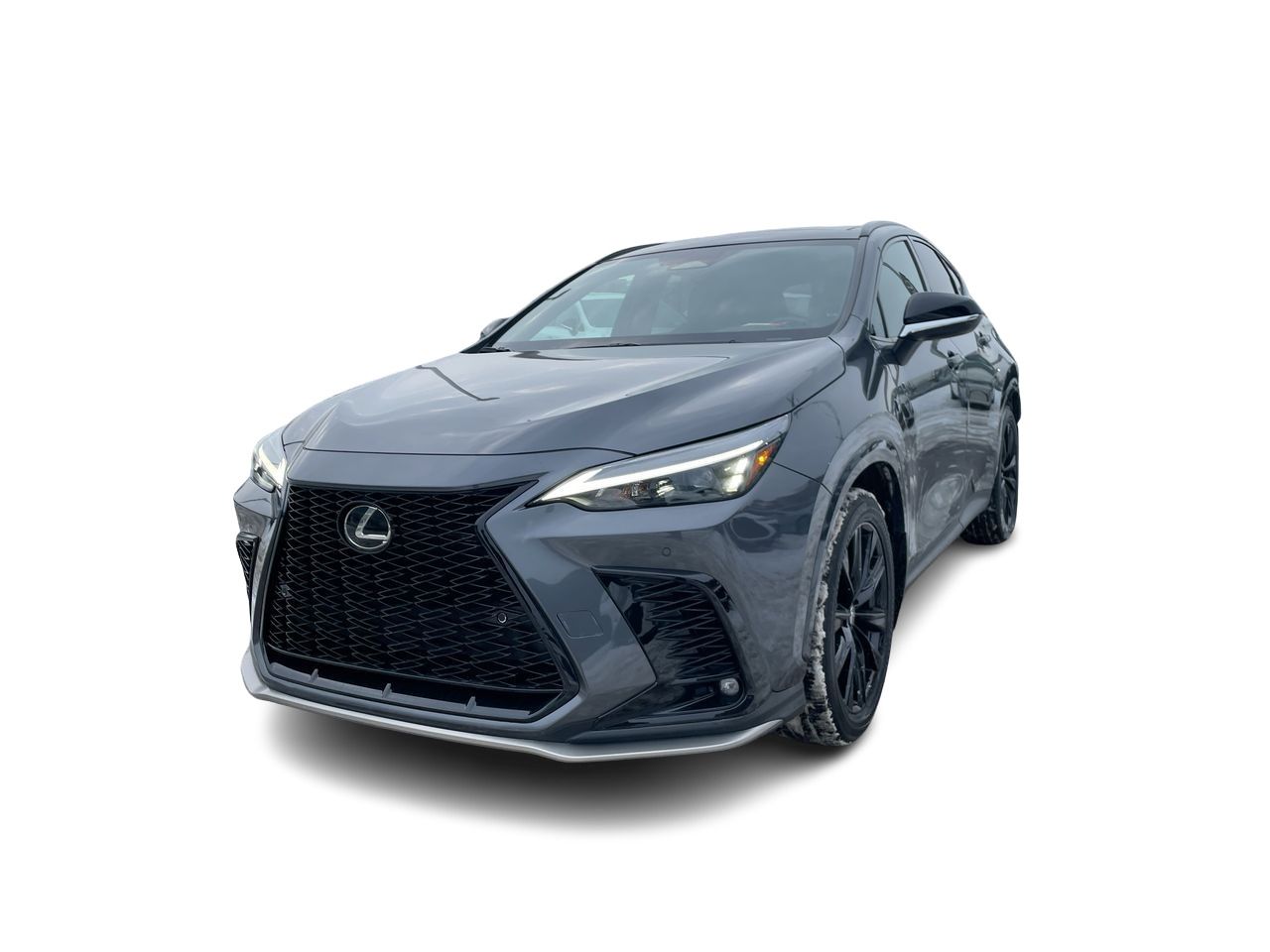 2024 Lexus NX