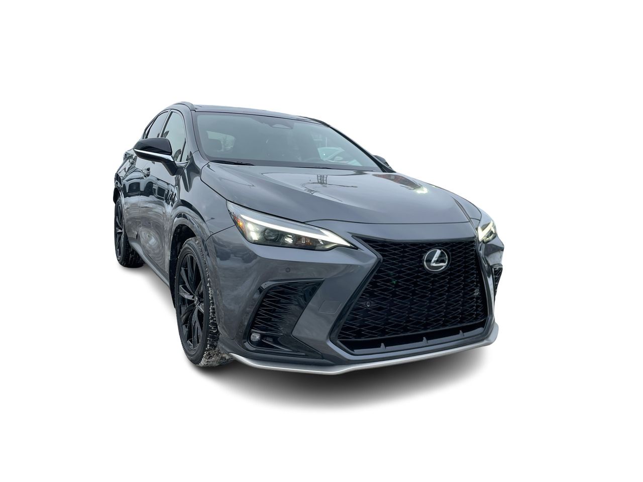 2024 Lexus NX