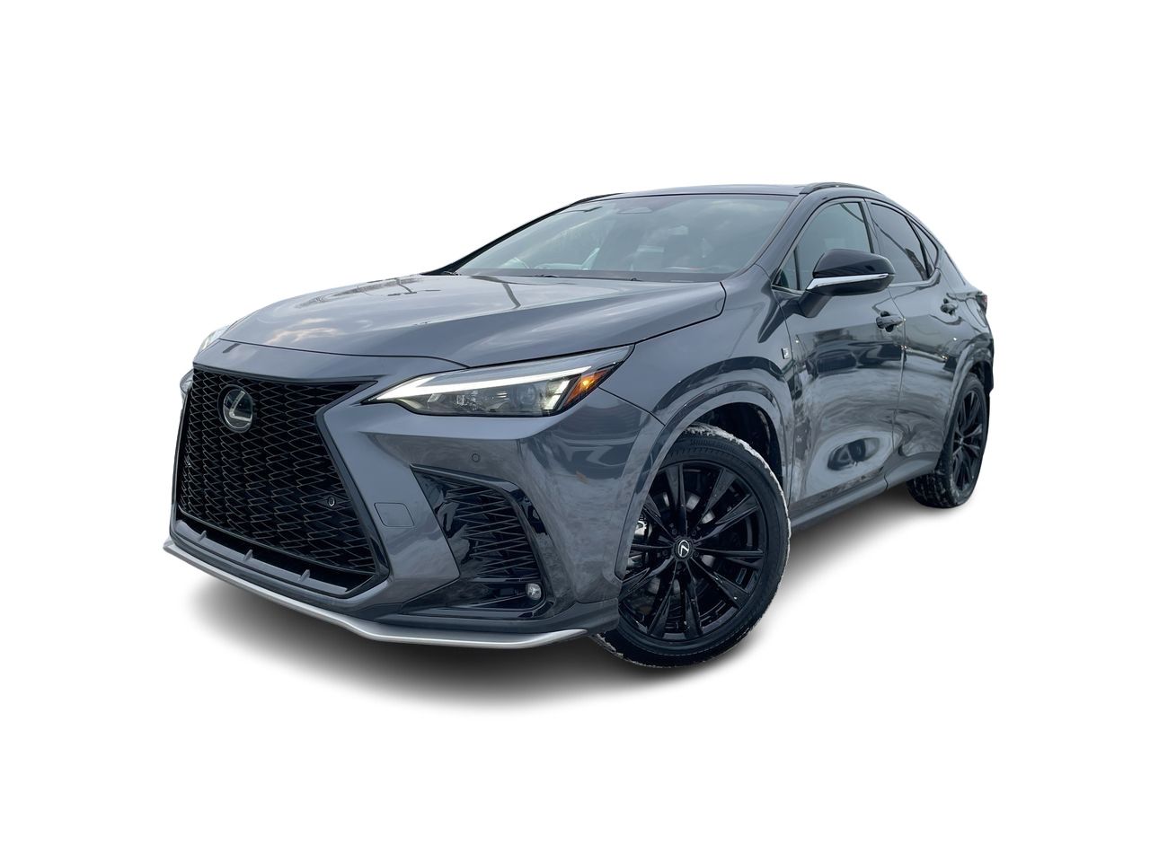 2024 Lexus NX