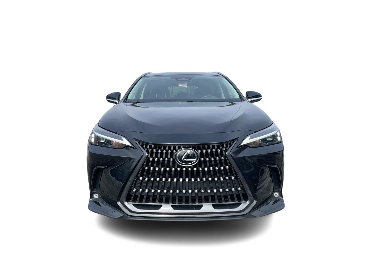 2024 Lexus NX