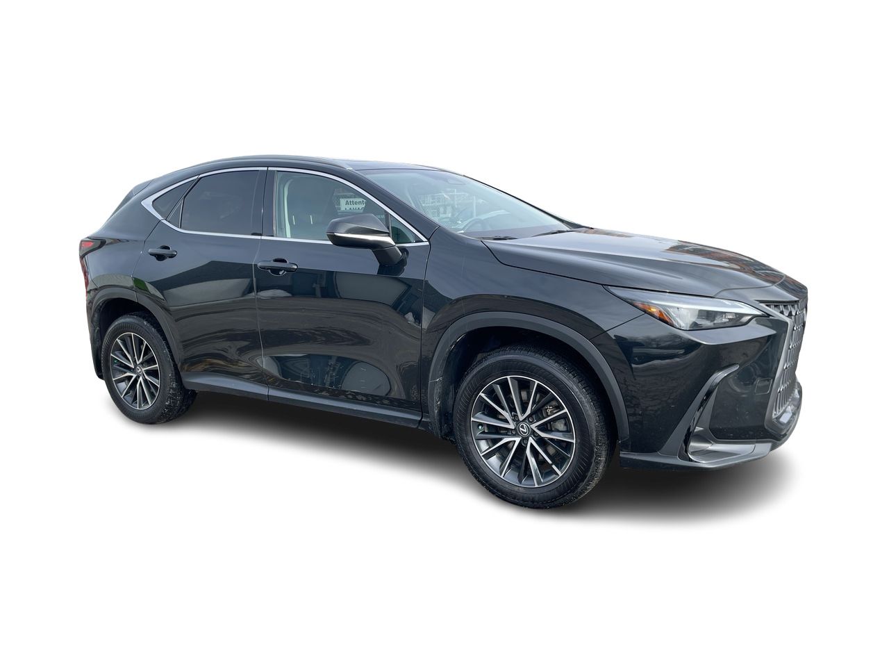 2024 Lexus NX