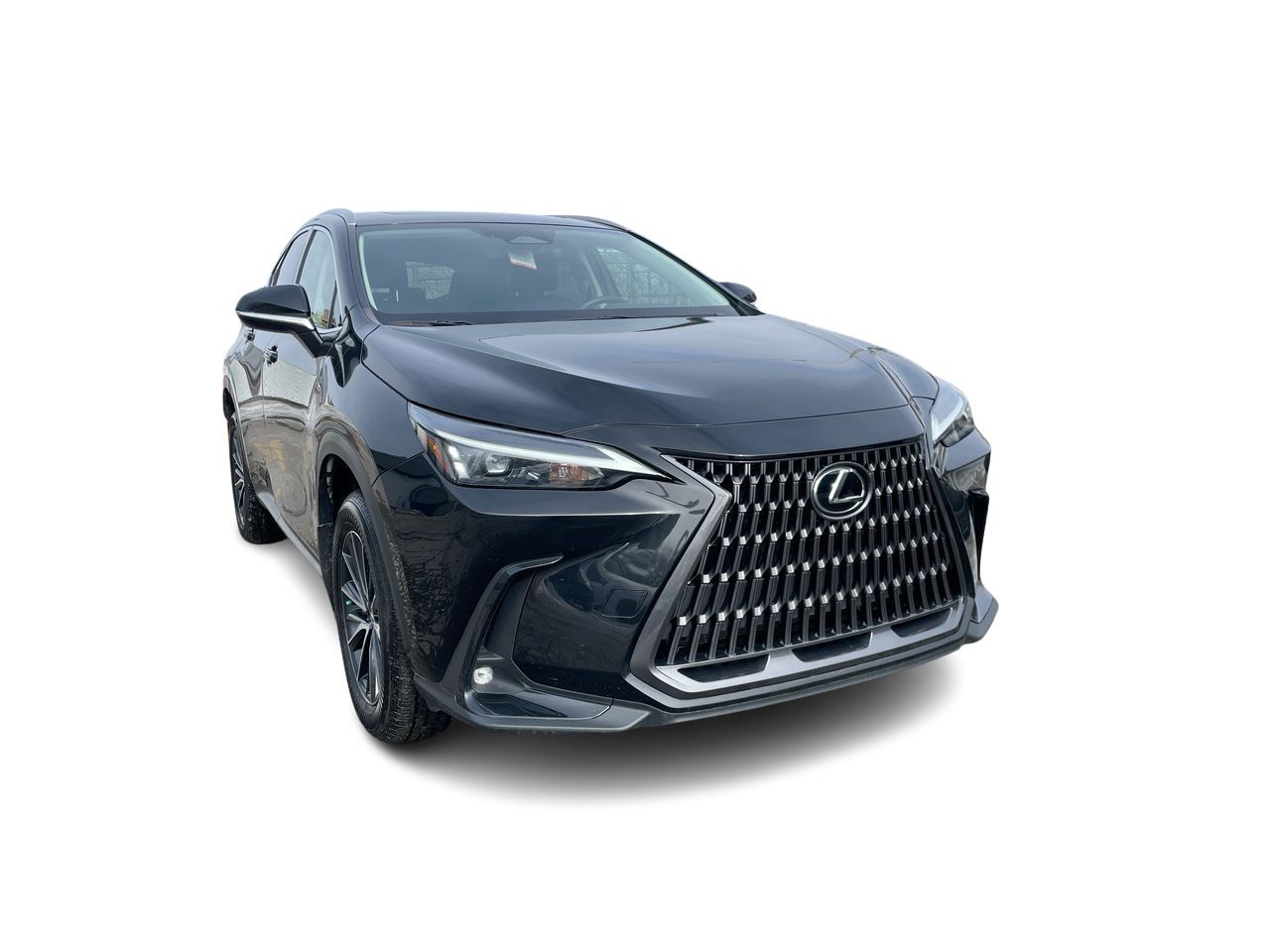 2024 Lexus NX