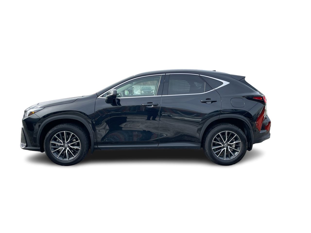 2024 Lexus NX