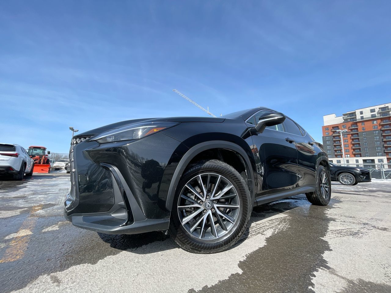 2024 Lexus NX