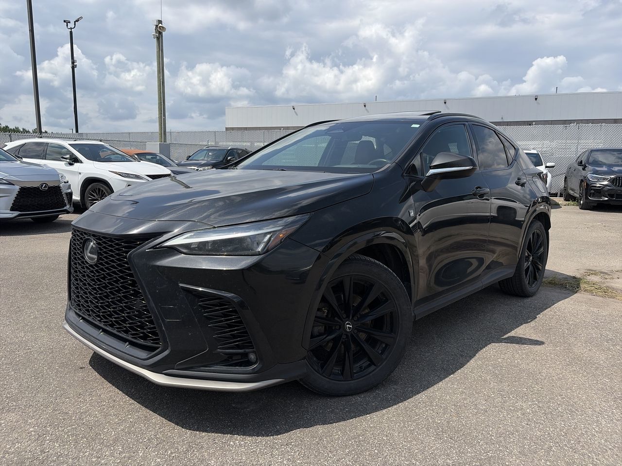 2024 Lexus NX