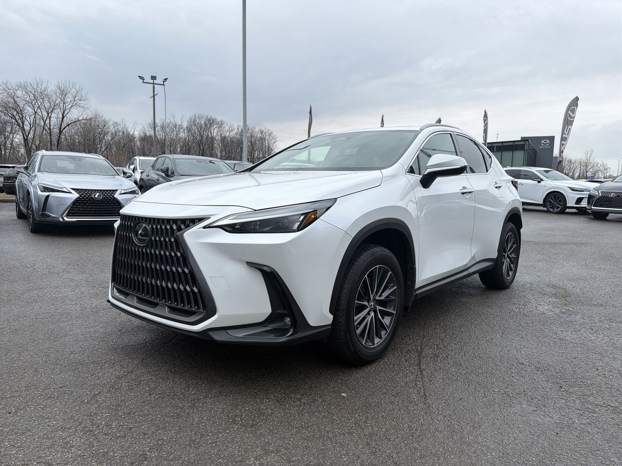 2024 Lexus NX in Laval, Quebec