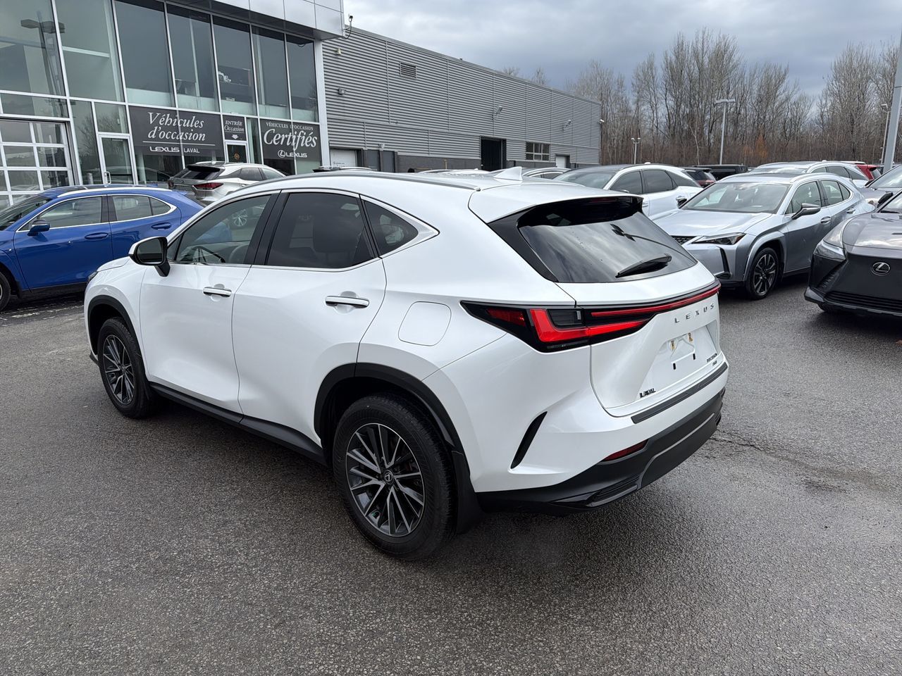 2024 Lexus NX in Laval, Quebec